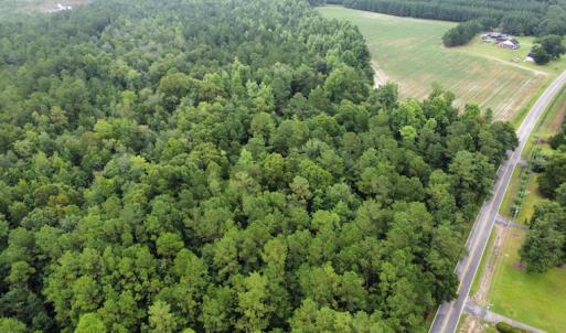 Photo #8 of Off Highway 430, Nichols, SC 32.3 acres