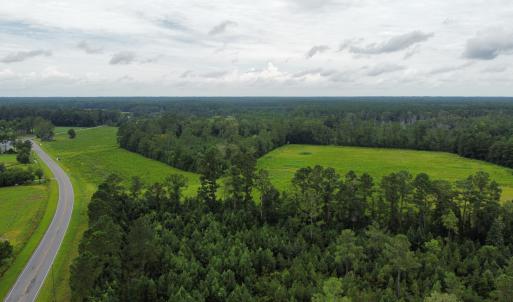 Photo #2 of SOLD property in Off Hwy 348 & Beargrass Road, Loris, SC 151.2 acres