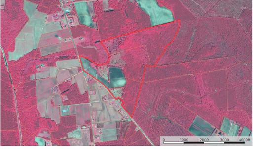 Photo #52 of SOLD property in Off Hwy 348 & Beargrass Road, Loris, SC 151.2 acres
