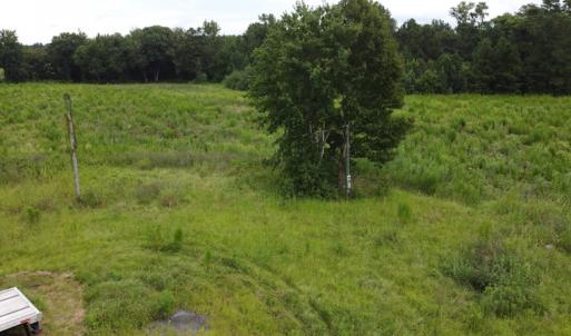 Photo #7 of SOLD property in Off Hwy 348 & Beargrass Road, Loris, SC 151.2 acres