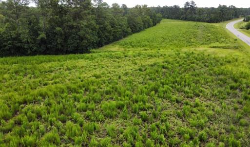 Photo #9 of SOLD property in Off Hwy 348 & Beargrass Road, Loris, SC 151.2 acres