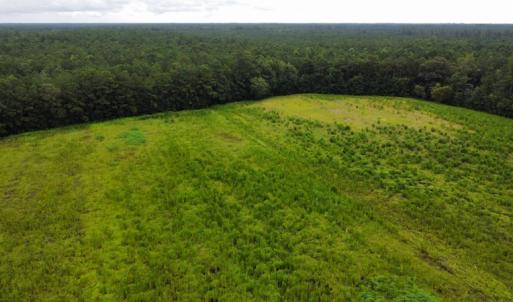 Photo #12 of SOLD property in Off Hwy 348 & Beargrass Road, Loris, SC 151.2 acres