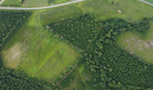 Photo #16 of SOLD property in Off Hwy 348 & Beargrass Road, Loris, SC 151.2 acres
