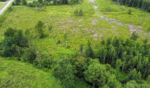 Photo #24 of SOLD property in Off Hwy 348 & Beargrass Road, Loris, SC 151.2 acres