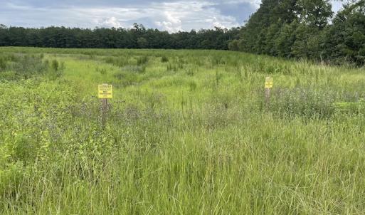 Photo #28 of SOLD property in Off Hwy 348 & Beargrass Road, Loris, SC 151.2 acres