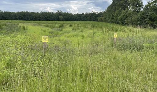 Photo #28 of SOLD property in Off Hwy 348 & Beargrass Road, Loris, SC 151.2 acres