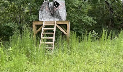 Photo #29 of SOLD property in Off Hwy 348 & Beargrass Road, Loris, SC 151.2 acres