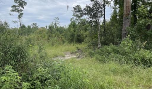 Photo #30 of SOLD property in Off Hwy 348 & Beargrass Road, Loris, SC 151.2 acres