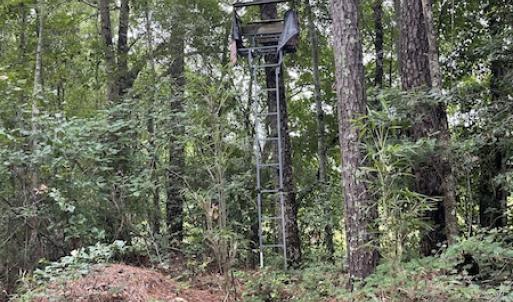Photo #36 of SOLD property in Off Hwy 348 & Beargrass Road, Loris, SC 151.2 acres