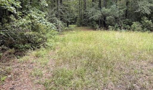 Photo #38 of SOLD property in Off Hwy 348 & Beargrass Road, Loris, SC 151.2 acres