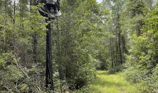 Photo #39 of SOLD property in Off Hwy 348 & Beargrass Road, Loris, SC 151.2 acres