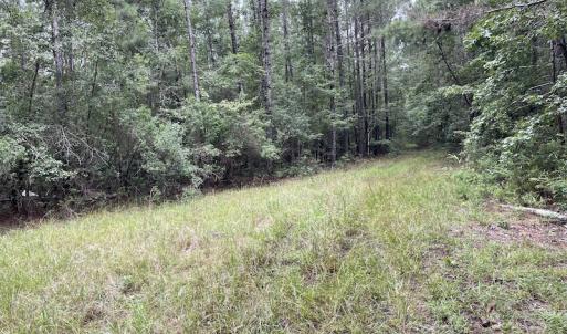 Photo #40 of SOLD property in Off Hwy 348 & Beargrass Road, Loris, SC 151.2 acres
