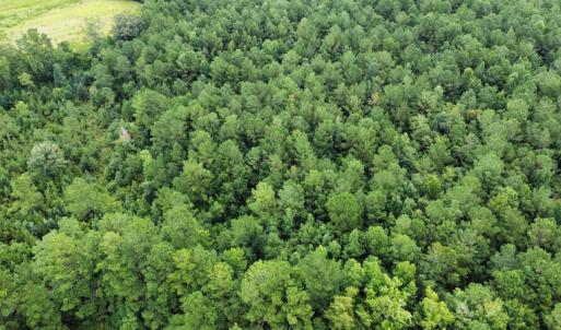 Photo #43 of SOLD property in Off Hwy 348 & Beargrass Road, Loris, SC 151.2 acres