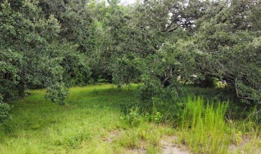 Photo #44 of SOLD property in Off Hwy 348 & Beargrass Road, Loris, SC 151.2 acres