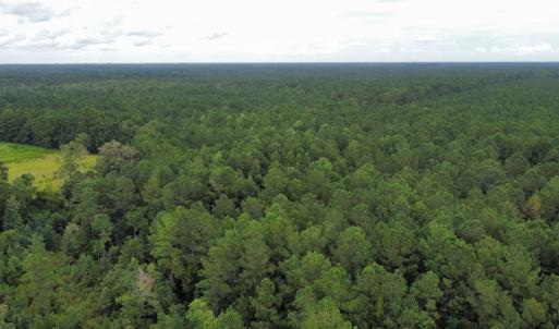 Photo #47 of SOLD property in Off Hwy 348 & Beargrass Road, Loris, SC 151.2 acres