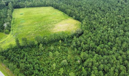Photo #48 of SOLD property in Off Hwy 348 & Beargrass Road, Loris, SC 151.2 acres