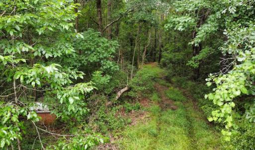 Photo #50 of SOLD property in Off Hwy 348 & Beargrass Road, Loris, SC 151.2 acres