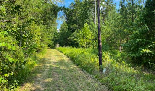Photo #22 of SOLD property in Off Hwy 119 N & Stephentown Road, Blanch, NC 46.5 acres