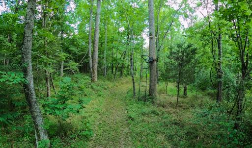 Photo #26 of SOLD property in Off Hwy 119 N & Stephentown Road, Blanch, NC 46.5 acres