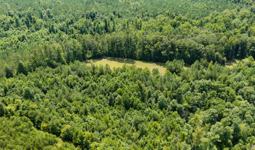 Photo #39 of SOLD property in Off Hwy 119 N & Stephentown Road, Blanch, NC 46.5 acres
