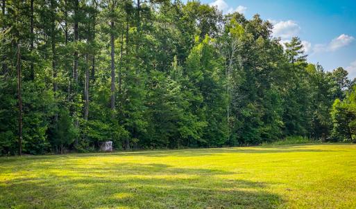 Photo #8 of SOLD property in Off Hwy 119 N & Stephentown Road, Blanch, NC 46.5 acres