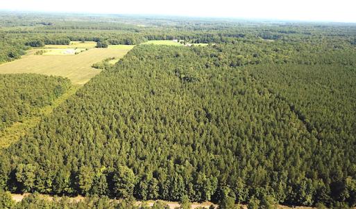 Photo #1 of SOLD property in Off Colonial Trail W, Spring Grove, VA 47.6 acres