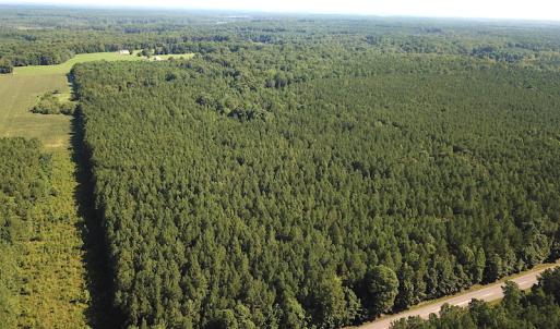 Photo #2 of SOLD property in Off Colonial Trail W, Spring Grove, VA 47.6 acres
