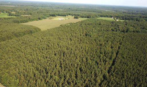 Photo #3 of SOLD property in Off Colonial Trail W, Spring Grove, VA 47.6 acres