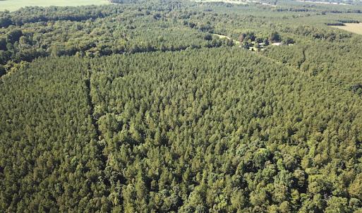 Photo #4 of SOLD property in Off Colonial Trail W, Spring Grove, VA 47.6 acres