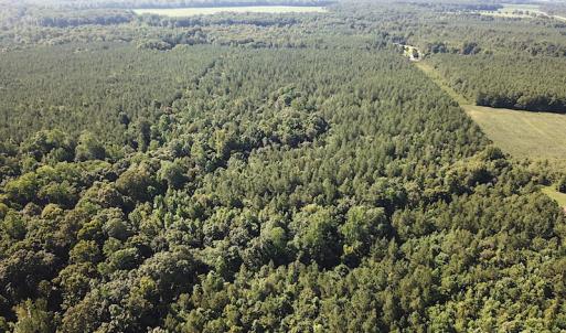 Photo #5 of SOLD property in Off Colonial Trail W, Spring Grove, VA 47.6 acres
