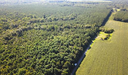 Photo #7 of SOLD property in Off Colonial Trail W, Spring Grove, VA 47.6 acres