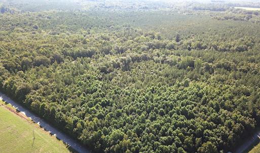 Photo #8 of SOLD property in Off Colonial Trail W, Spring Grove, VA 47.6 acres