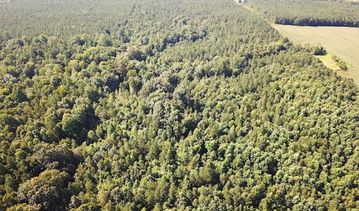 Photo #9 of SOLD property in Off Colonial Trail W, Spring Grove, VA 47.6 acres