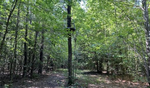 Photo #11 of SOLD property in Off Colonial Trail W, Spring Grove, VA 47.6 acres