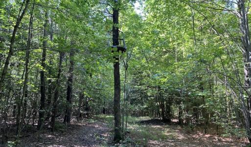 Photo #11 of SOLD property in Off Colonial Trail W, Spring Grove, VA 47.6 acres