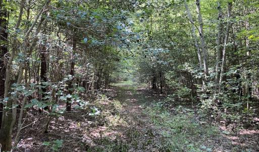 Photo #12 of SOLD property in Off Colonial Trail W, Spring Grove, VA 47.6 acres