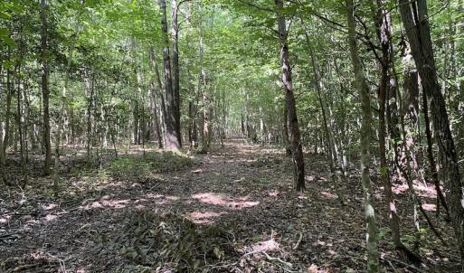 Photo #13 of SOLD property in Off Colonial Trail W, Spring Grove, VA 47.6 acres