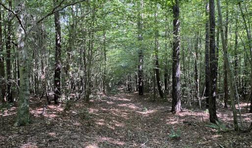 Photo #14 of SOLD property in Off Colonial Trail W, Spring Grove, VA 47.6 acres
