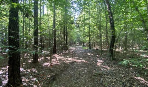 Photo #15 of SOLD property in Off Colonial Trail W, Spring Grove, VA 47.6 acres