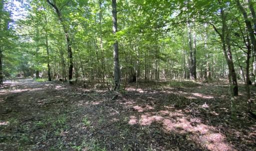 Photo #16 of SOLD property in Off Colonial Trail W, Spring Grove, VA 47.6 acres