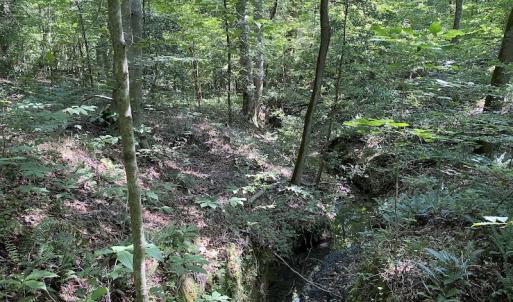 Photo #18 of SOLD property in Off Colonial Trail W, Spring Grove, VA 47.6 acres