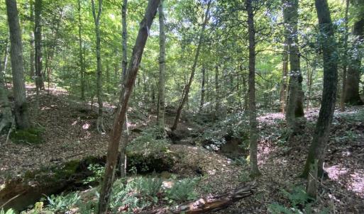 Photo #22 of SOLD property in Off Colonial Trail W, Spring Grove, VA 47.6 acres