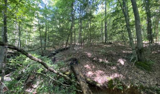 Photo #23 of SOLD property in Off Colonial Trail W, Spring Grove, VA 47.6 acres