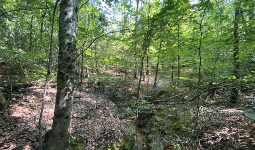 Photo #24 of SOLD property in Off Colonial Trail W, Spring Grove, VA 47.6 acres