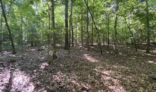 Photo #25 of SOLD property in Off Colonial Trail W, Spring Grove, VA 47.6 acres