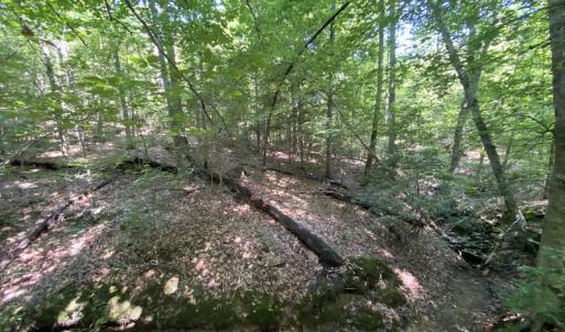 Photo #26 of SOLD property in Off Colonial Trail W, Spring Grove, VA 47.6 acres