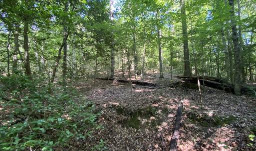 Photo #27 of SOLD property in Off Colonial Trail W, Spring Grove, VA 47.6 acres