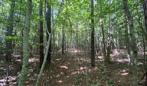 Photo #28 of SOLD property in Off Colonial Trail W, Spring Grove, VA 47.6 acres