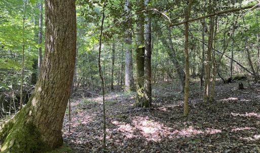 Photo #29 of SOLD property in Off Colonial Trail W, Spring Grove, VA 47.6 acres