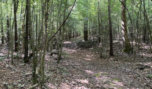 Photo #31 of SOLD property in Off Colonial Trail W, Spring Grove, VA 47.6 acres
